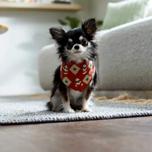 Disney Mickey Mouse Southwest Patterned Dog & Cat Bandana -Cat Supply Store 264583 PT5. AC SS1800 V1637691481