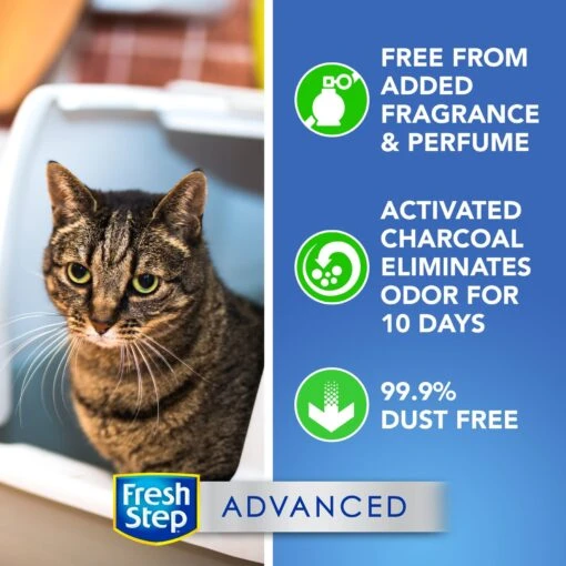 Fresh Step Advanced Simply Unscented Clumping Clay Cat Litter, 18.5-lb Box -Cat Supply Store 266344 PT2. AC SS1800 V1694465218