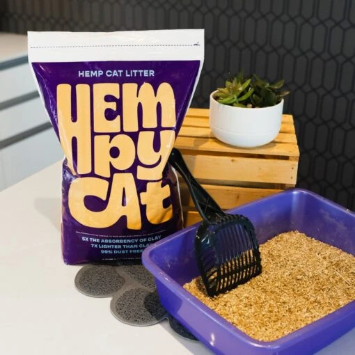 HempAlta Unscented Non-Clumping Hemp Cat Litter, 2.2-lb Bag -Cat Supply Store 266727 PT5. AC SS1800 V1677166207