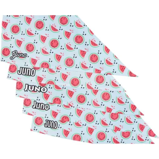 Frisco Watermelons Personalized Dog & Cat Bandana -Cat Supply Store 267458 PT4. AC SS1800 V1632428809