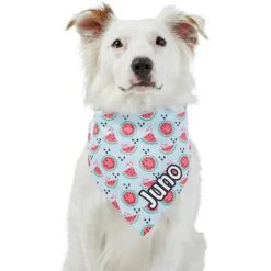 Frisco Watermelons Personalized Dog & Cat Bandana -Cat Supply Store 267458 PT6. AC SS1800 V1632432415