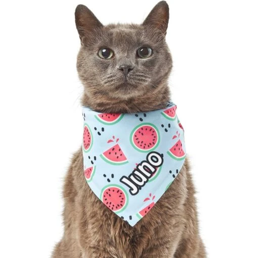 Frisco Watermelons Personalized Dog & Cat Bandana -Cat Supply Store 267458 PT7. AC SS1800 V1632432684