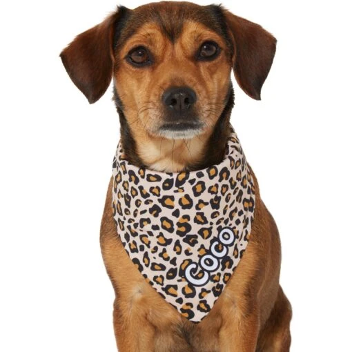 Frisco Leopard Print Personalized Dog & Cat Bandana -Cat Supply Store 267543 PT7. AC SS1800 V1623164552