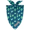 Frisco Cactus Personalized Dog & Cat Bandana -Cat Supply Store 267551 MAIN. AC SS1800 V1623093450