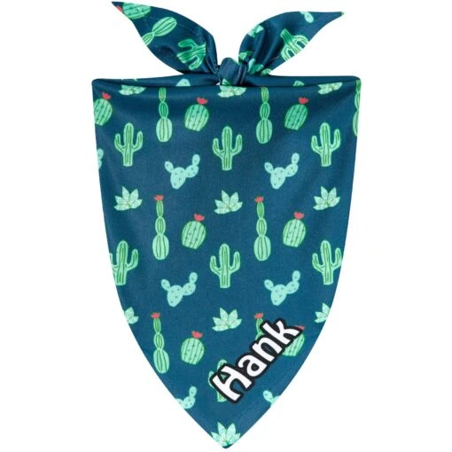 Frisco Cactus Personalized Dog & Cat Bandana -Cat Supply Store 267551 MAIN. AC SS1800 V1623093450