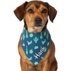 Frisco Cactus Personalized Dog & Cat Bandana -Cat Supply Store 267551 PT7. AC SS1800 V1623164614