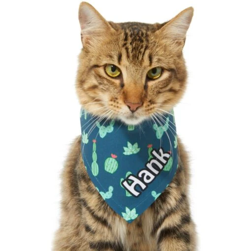 Frisco Cactus Personalized Dog & Cat Bandana -Cat Supply Store 267551 PT8. AC SS1800 V1623164657