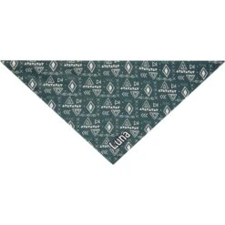 Frisco Boho Geo Personalized Dog & Cat Bandana -Cat Supply Store 267559 PT3. AC SS1800 V1623094369