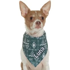 Frisco Boho Geo Personalized Dog & Cat Bandana -Cat Supply Store 267559 PT7. AC SS1800 V1623164863