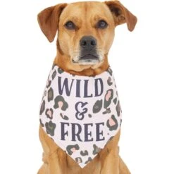 Frisco Pink Leopard Dog & Cat Bandana -Cat Supply Store 267922 PT2. AC SS1800 V1637646441