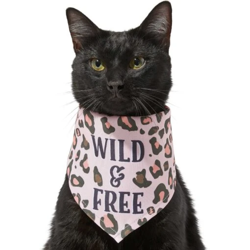 Frisco Pink Leopard Dog & Cat Bandana -Cat Supply Store 267922 PT3. AC SS1800 V1637687868