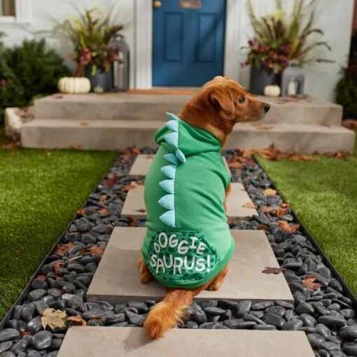 Frisco Doggiesaurus Dog & Cat Hoodie, Green -Cat Supply Store 268033 PT6. AC SS1800 V1637671011