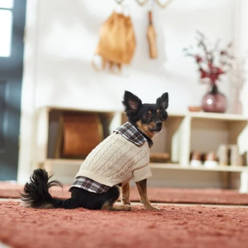 Frisco Cream Cable Knit Dog & Cat Sweater, White/Red Plaid -Cat Supply Store 268057 PT8. AC SS1800 V1629766069