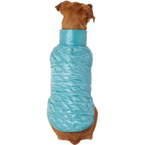 Frisco Lightweight Packable Insulated Dog & Cat Quilted Puffer Coat, Ocean Teal -Cat Supply Store 268280 MAIN. AC SS1800 V1628652122