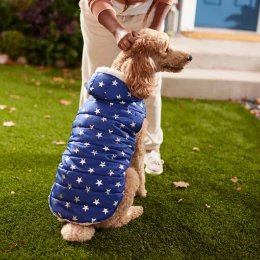 Frisco Mediumweight Metallic Star Print Insulated Dog & Cat Parka, Navy -Cat Supply Store 268413 PT8. AC SS1800 V1629757357