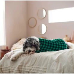 Frisco Dog & Cat Cozy Plush Fleece PJs, Green Plaid -Cat Supply Store 268517 PT5. AC SS1800 V1637644798