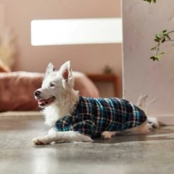 Frisco Multi-Plaid Dog & Cat Flannel Shirt -Cat Supply Store 268588 PT7. AC SS1800 V1637674022