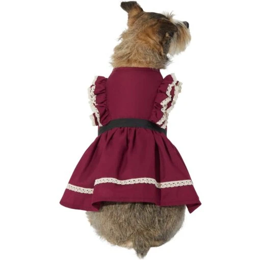 Frisco Plum Dog & Cat Dress -Cat Supply Store 268677 PT2. AC SS1800 V1637649786