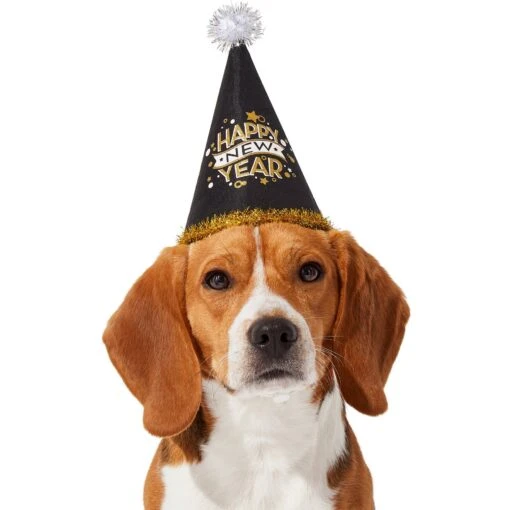 Frisco Happy New Year Dog & Cat Hat -Cat Supply Store 276190 PT2. AC SS1800 V1631303599