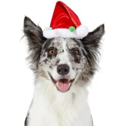 Frisco Holiday Poms Dog & Cat Santa Hat -Cat Supply Store 276194 PT2. AC SS1800 V1631303507