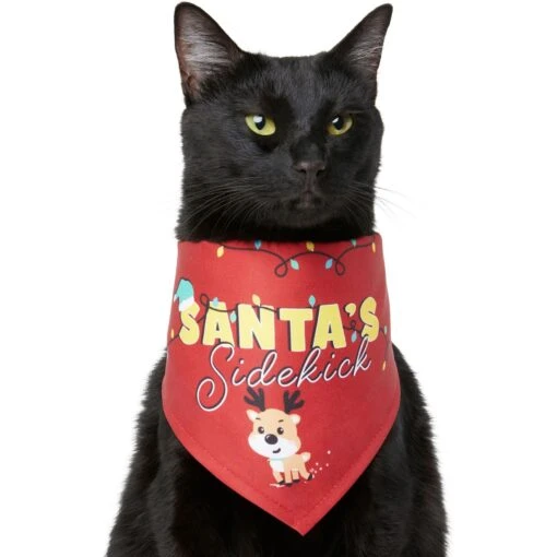 Frisco Santa's Sidekick Dog & Cat Bandana -Cat Supply Store 276204 MAIN. AC SS1800 V1637656607