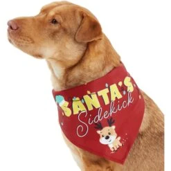 Frisco Santa's Sidekick Dog & Cat Bandana -Cat Supply Store 276204 PT2. AC SS1800 V1637653065