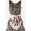 Frisco So Elf'n Cute Dog & Cat Bandana -Cat Supply Store 276276 MAIN. AC SS1800 V1637671663