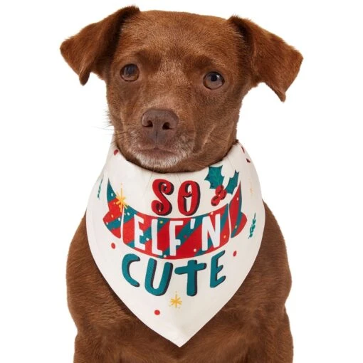 Frisco So Elf'n Cute Dog & Cat Bandana -Cat Supply Store 276276 PT2. AC SS1800 V1637682999