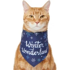 Frisco Winter Wonderland Dog & Cat Bandana -Cat Supply Store 276279 PT2. AC SS1800 V1637675218