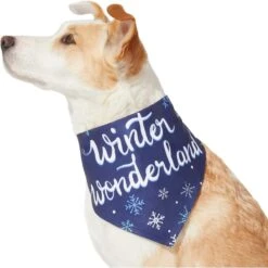 Frisco Winter Wonderland Dog & Cat Bandana -Cat Supply Store 276279 PT3. AC SS1800 V1637688134