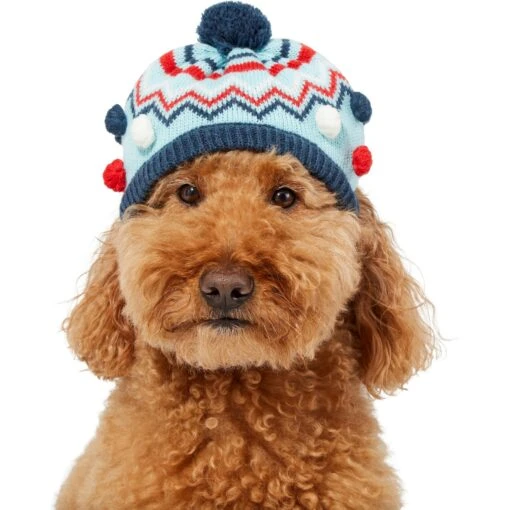 Frisco Pom Pom Dog & Cat Knitted Hat -Cat Supply Store 276307 PT2. AC SS1800 V1631666246