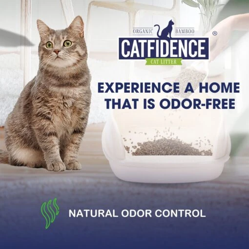 Catfidence Organic Bamboo Cat Litter -Cat Supply Store 280560 PT1. AC SS1800 V1702598084