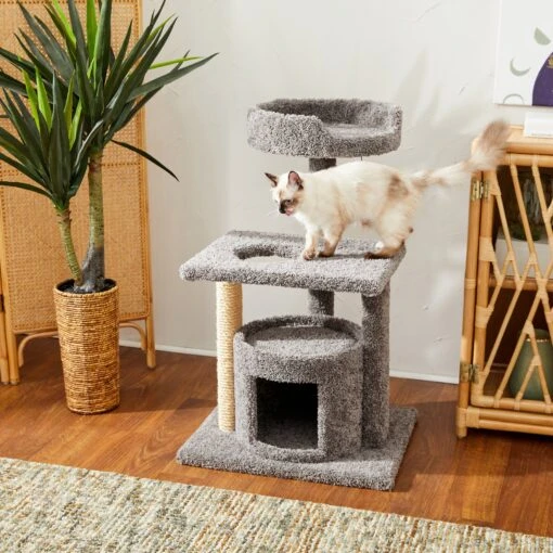 Frisco 37-in Real Carpet Cat Tree With Condo, Grey -Cat Supply Store 282755 MAIN. AC SS1800 V1621949365