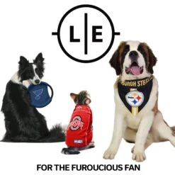 Littlearth NFL Personalized Stretch Dog & Cat Jersey -Cat Supply Store 283735 PT6. AC SS1800 V1619404029