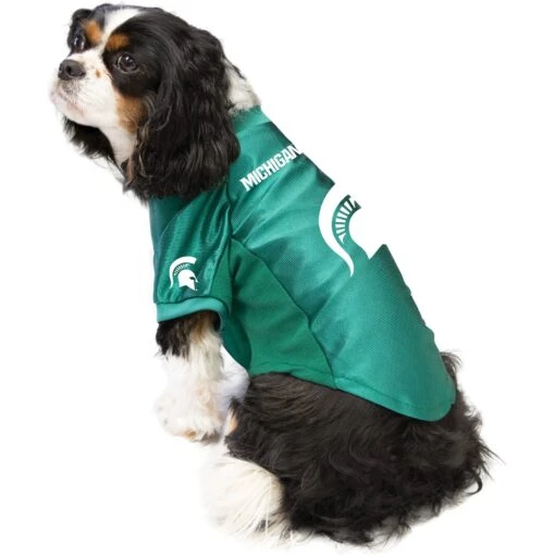 Littlearth NCAA Stretch Dog & Cat Jersey, Michigan State Spartans -Cat Supply Store 284096 PT2. AC SS1800 V1619541731