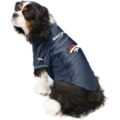 Littlearth NFL Stretch Dog & Cat Jersey, Denver Broncos -Cat Supply Store 284243 PT2. AC SS1800 V1619575993