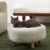 Frisco Eyelash Fur Round Elevated Cat Bed -Cat Supply Store 285211 MAIN. AC SS1800 V1625009099