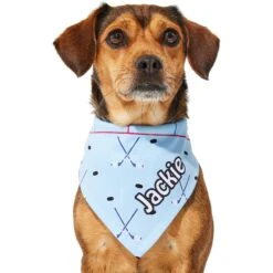 Frisco Ice Hockey Personalized Dog & Cat Bandana -Cat Supply Store 287048 PT6. AC SS1800 V1623246568