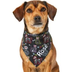 Frisco Dia De Los Muertos Personalized Dog & Cat Bandana -Cat Supply Store 287052 PT6. AC SS1800 V1623246755