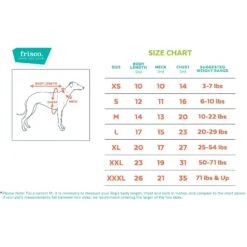 Frisco Personalized Dog & Cat Basic Hoodie -Cat Supply Store 288051 PT1. AC SS1800 V1626200476