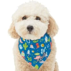 Pixar Toy Story Personalized Dog & Cat Bandana -Cat Supply Store 290162 PT6. AC SS1800 V1625155682