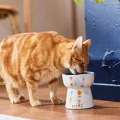 Disney Winnie The Pooh Tall Shape Non-Skid Elevated Ceramic Cat Bowl -Cat Supply Store 291407 PT3. AC SS1800 V1633979783