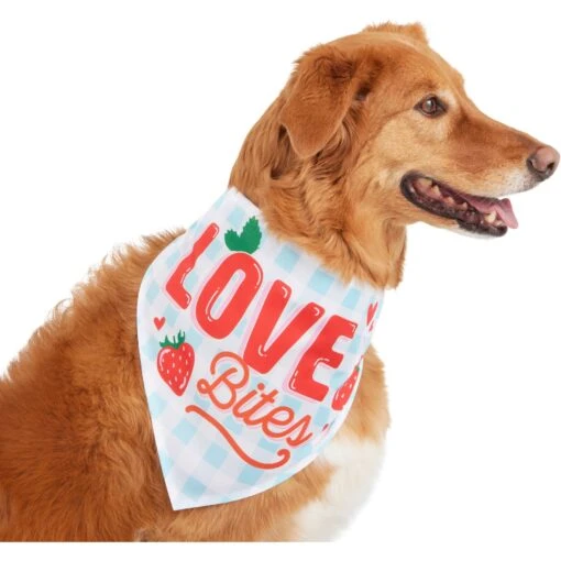 Frisco Love Bites Dog & Cat Bandana -Cat Supply Store 292054 MAIN. AC SS1800 V1637268755