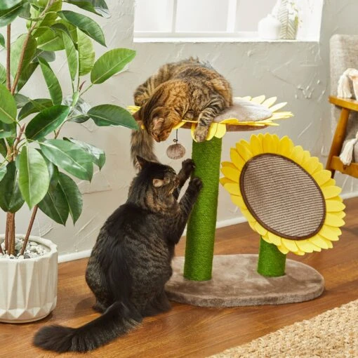 Frisco Sunflower Cat Scratching Post, Two Post With Lounger -Cat Supply Store 296688 MAIN. AC SS1800 V1632856014