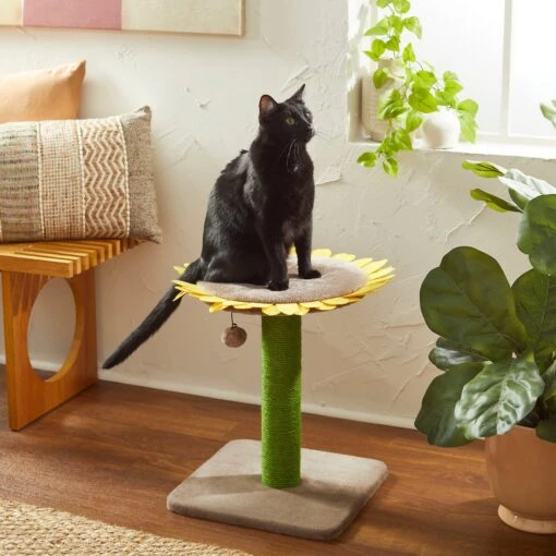 Frisco Sunflower Cat Scratching Post, Single Post -Cat Supply Store 296690 MAIN. AC SS1800 V1632856004