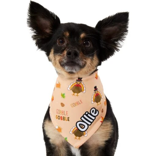 Frisco Quirky Thanksgiving Personalized Dog & Cat Bandana -Cat Supply Store 296986 PT6. AC SS1800 V1627654020