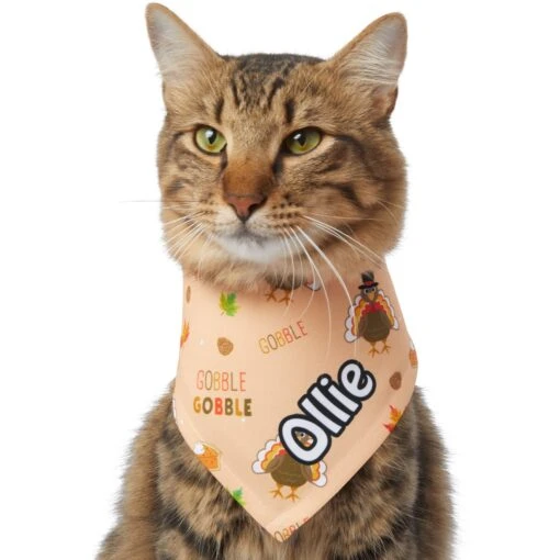 Frisco Quirky Thanksgiving Personalized Dog & Cat Bandana -Cat Supply Store 296986 PT7. AC SS1800 V1627654903