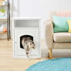 Frisco Decorative Side Table Cat Litter Box Cover & Frisco Open Top Cat Litter Box With Rim, Large -Cat Supply Store 297992 PT4. AC SS1800 V1621306337