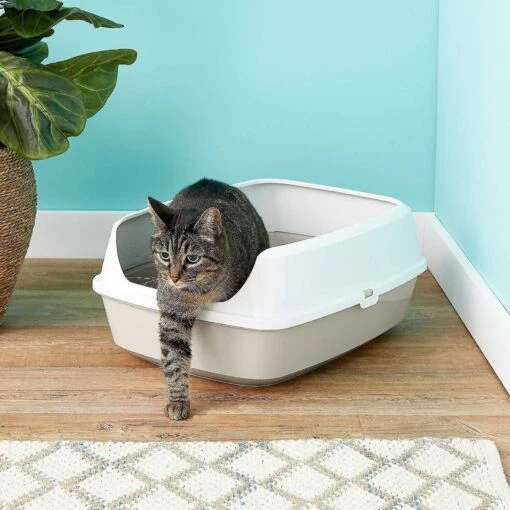 Frisco Decorative Side Table Cat Litter Box Cover & Frisco Open Top Cat Litter Box With Rim, Large -Cat Supply Store 297992 PT6. AC SS1800 V1621299762