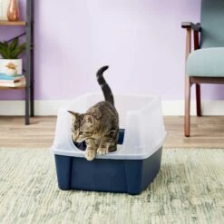 Frisco Plastic Litter Scooper With Caddy & IRIS USA Open Top Litter Box With Scatter Shield -Cat Supply Store 298166 PT6. AC SS1800 V1623202669